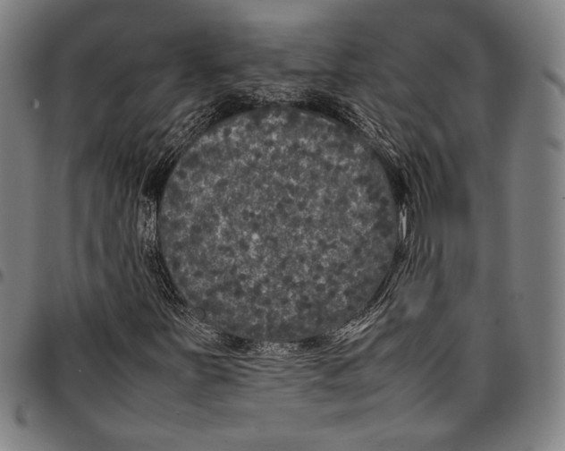 X0000097001251200802291139