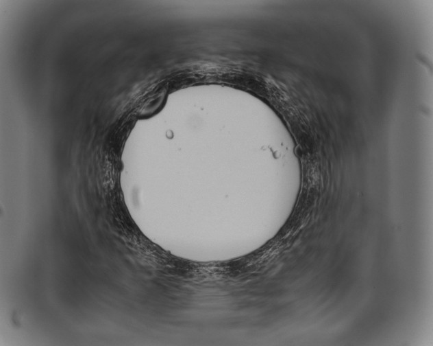 X0000097001253200802291139