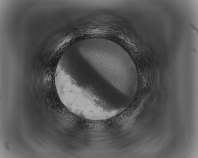 X0000097001254200802291139