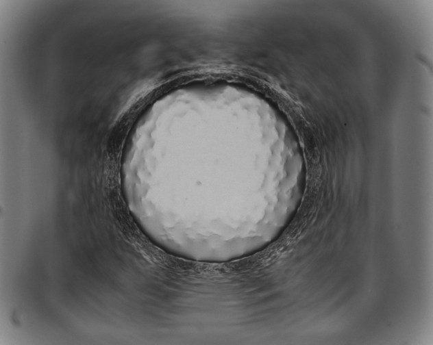 X0000097001255200802291139