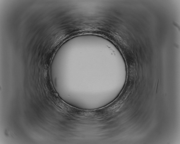 X0000097001257200802291138