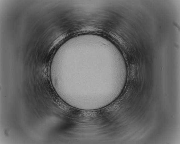 X0000097001258200802291138