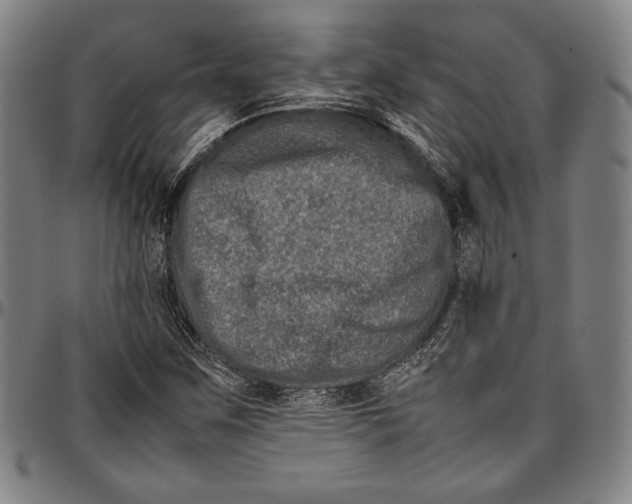 X0000097001259200802291138