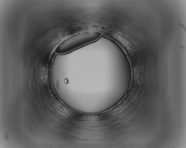 X0000097001260200802291138