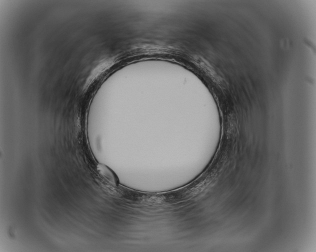 X0000097001261200802291138