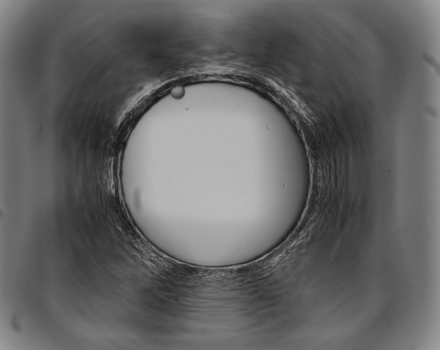 X0000097001262200802291138