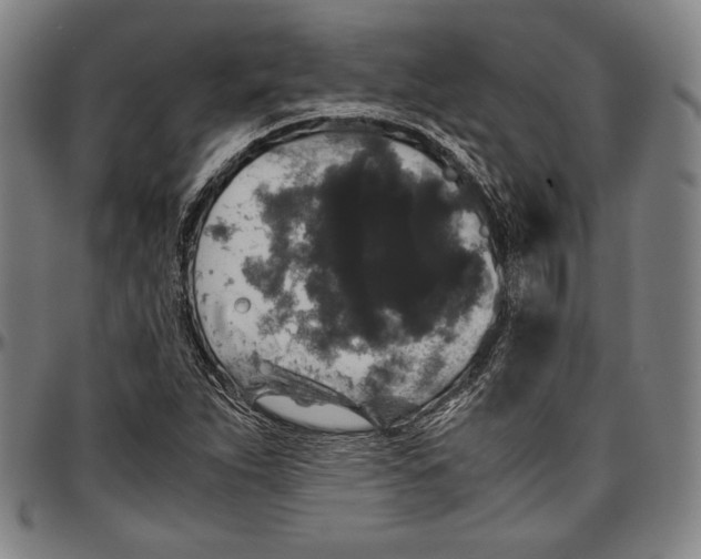 X0000097001263200802291138