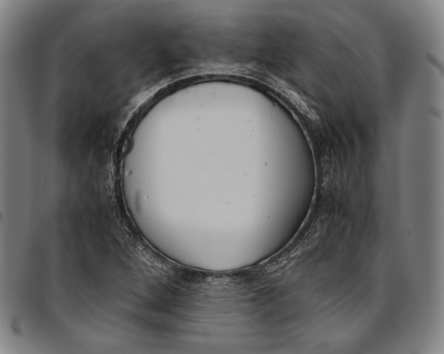 X0000097001264200802291138