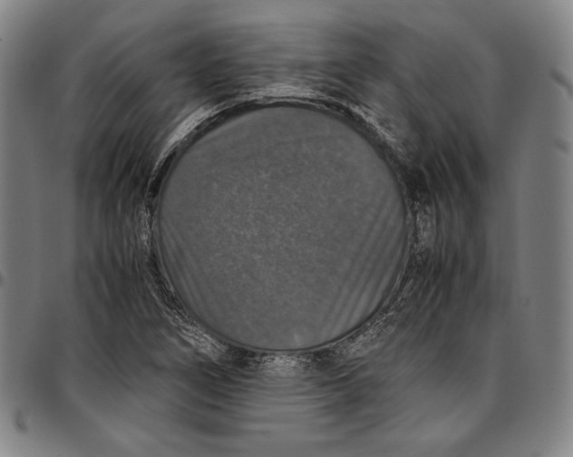 X0000097001266200802291138