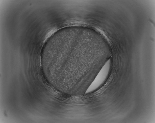 X0000097001267200802291138