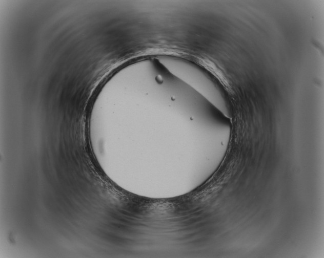 X0000097001268200802291138