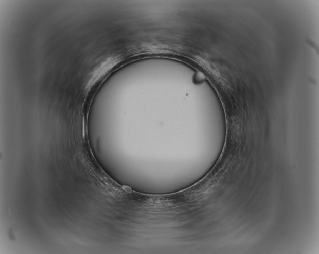 X0000097001269200802291138