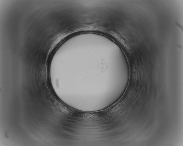 X0000097001270200802291138