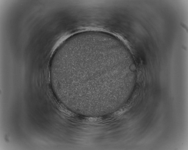 X0000097001271200802291138