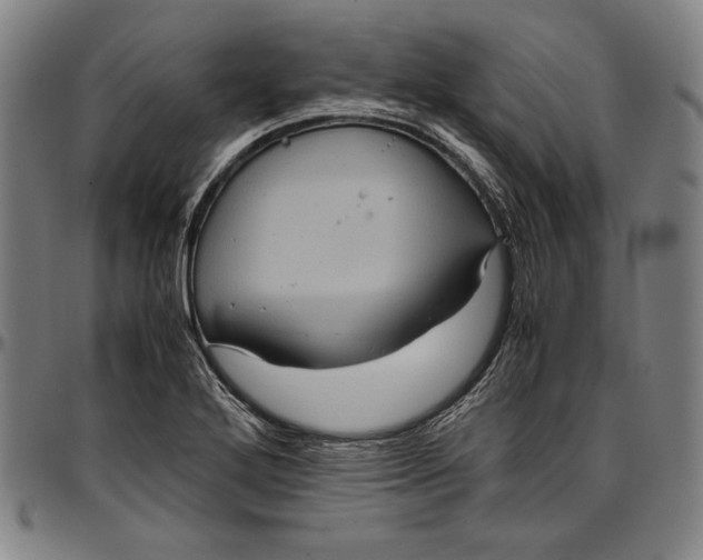 X0000097001272200802291138