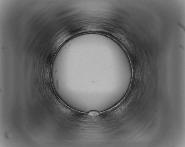 X0000097001273200802291138