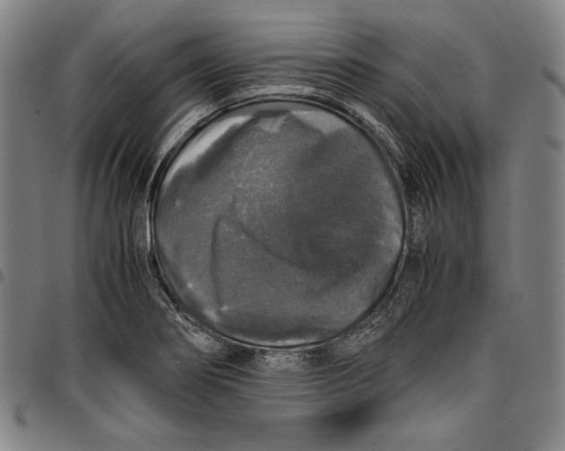 X0000097001274200802291138