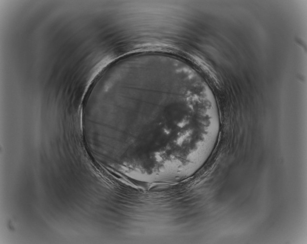 X0000097001275200802291138