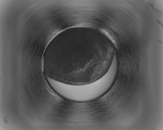 X0000097001276200802291138