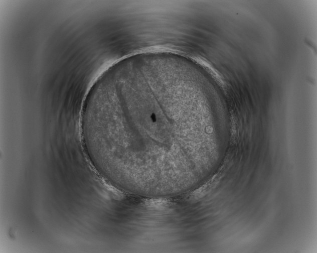 X0000097001278200802291138