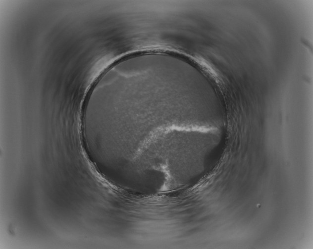 X0000097001279200802291138