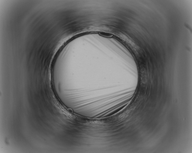 X0000097001280200802291138