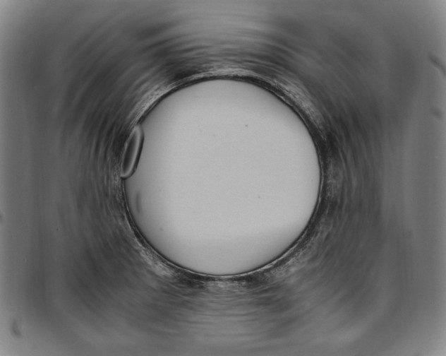 X0000097001281200802291138