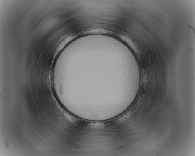 X0000097001282200802291138