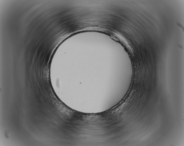 X0000097001284200802291138