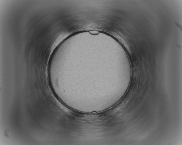 X0000097001285200802291138