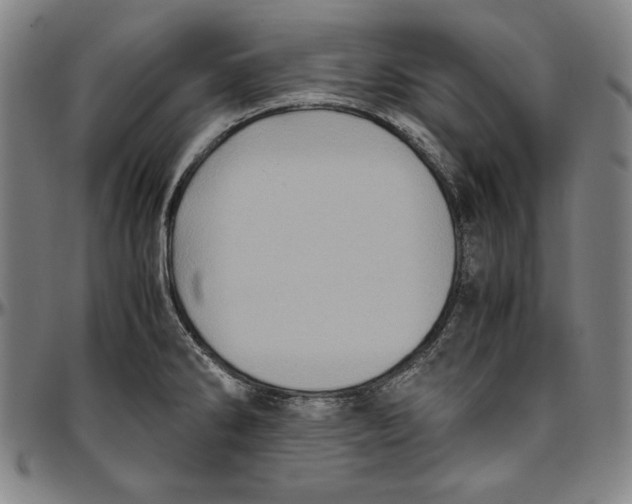 X0000097001286200802291138