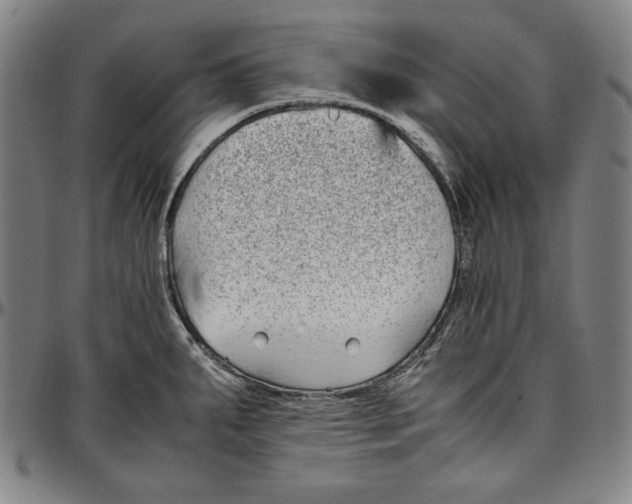 X0000097001287200802291138