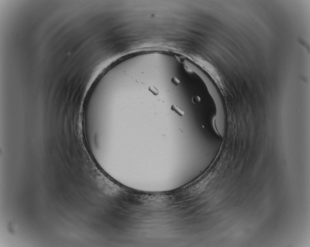 X0000097001288200802291138