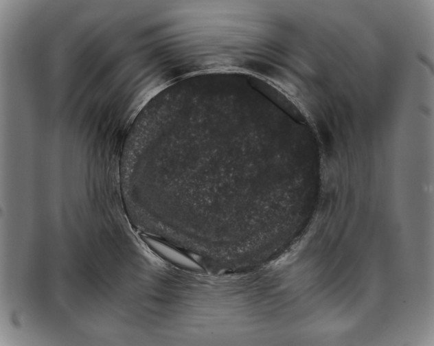 X0000097001289200802291138