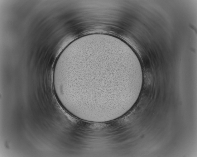 X0000097001290200802291138