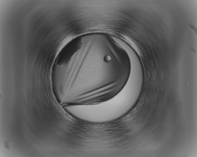 X0000097001291200802291138