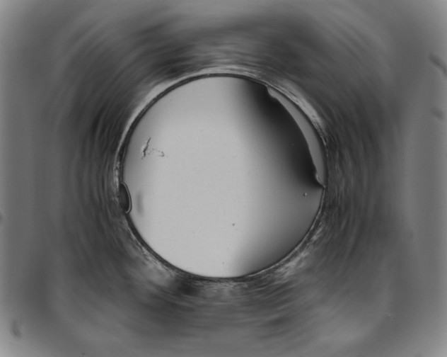 X0000097001292200802291138