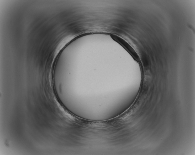 X0000097001293200802291138