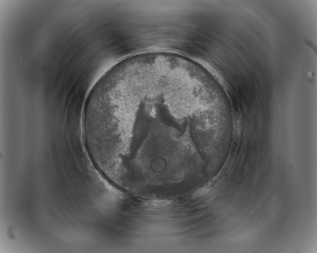 X0000097001294200802291138