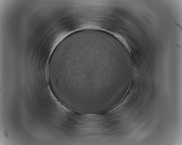 X0000097001295200802291138