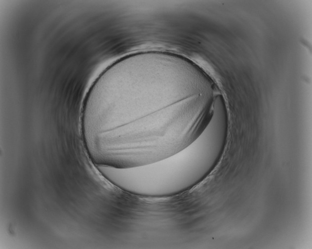 X0000097001296200802291138