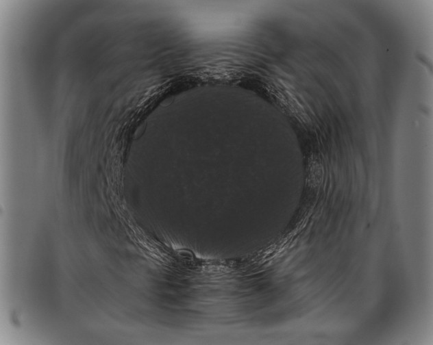 X0000097001297200802291137