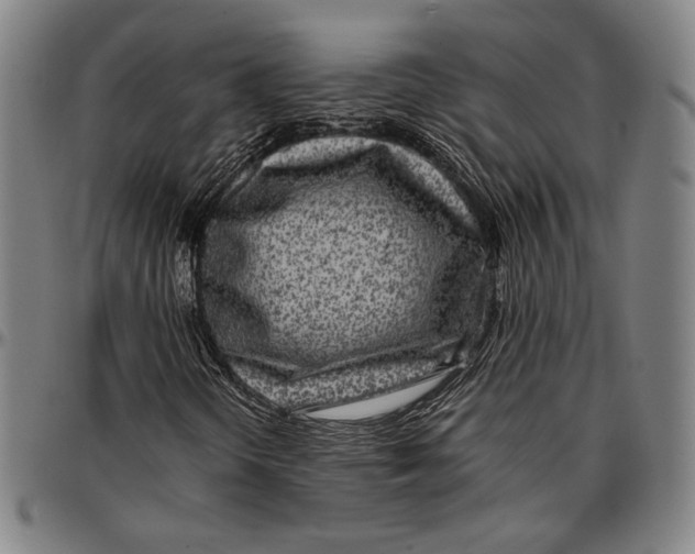 X0000097001298200802291137