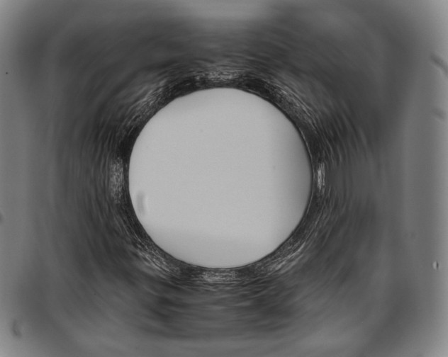 X0000097001299200802291137