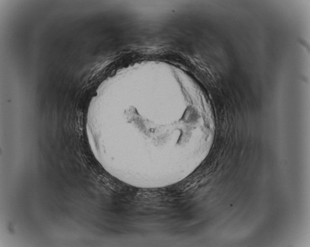 X0000097001301200802291137