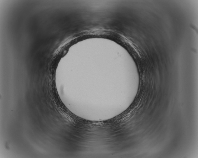 X0000097001304200802291137