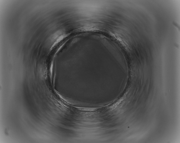 X0000097001306200802291137