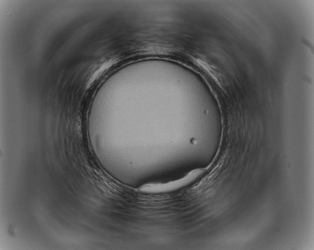 X0000097001307200802291137