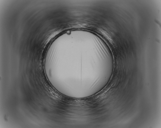 X0000097001308200802291137