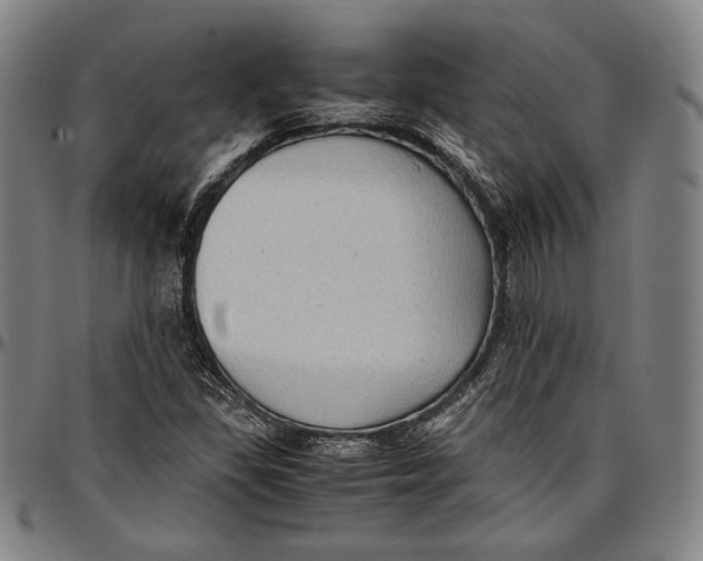 X0000097001309200802291137